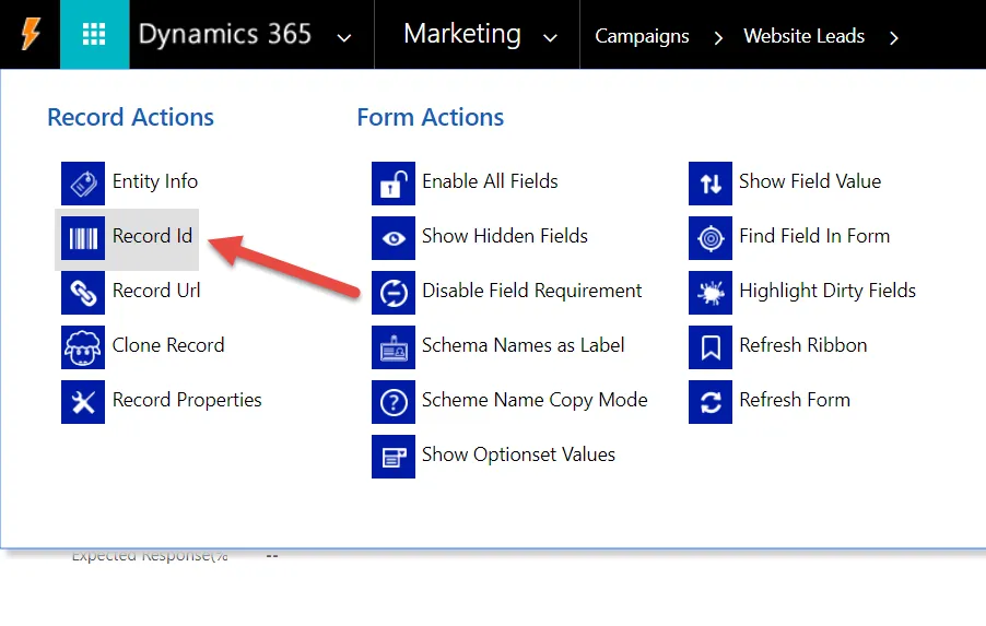 WordPress to Dynamics CRM Power Pane